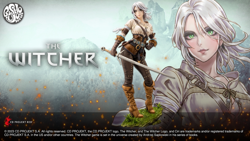 THE WITCHER美少女 シリ
