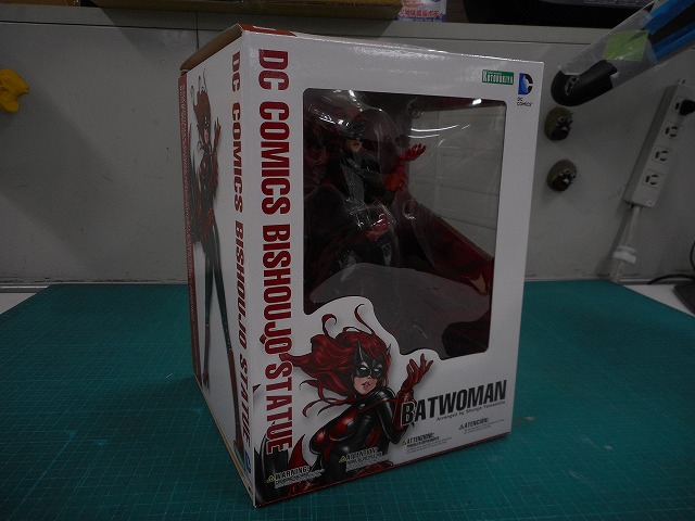 DSCN0338.jpg