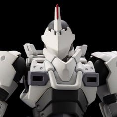 ガバナー アーマータイプ：ポーンX1