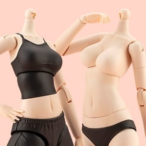 DRESS UP BODY【M】COLOR C Ver.