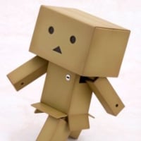 DANBOARD