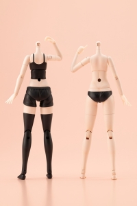 DRESS UP BODY【S】COLOR C Ver.