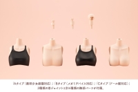 DRESS UP BODY【S】COLOR C Ver.