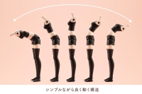 DRESS UP BODY【S】COLOR C Ver.