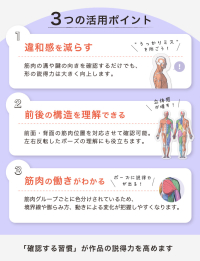 ARTIST SUPPORT ITEM 卓上アナトミーアクリルスタンド【コトブキヤショップ限定品】