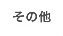 その他